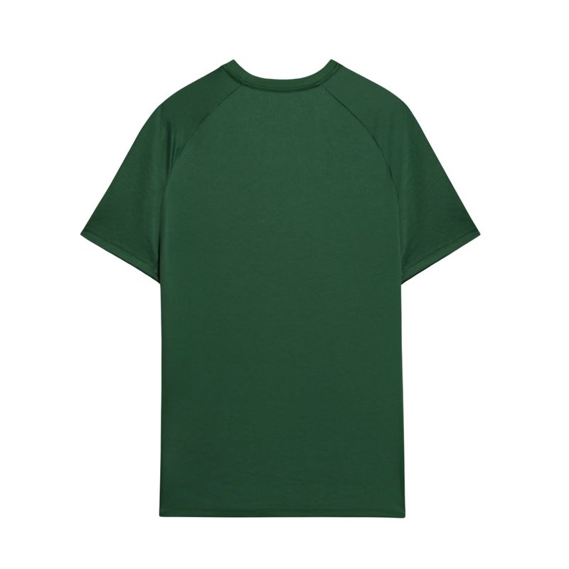 Camisa Palmeiras Pré Jogo 24/25 - Torcedor Masculina - Verde