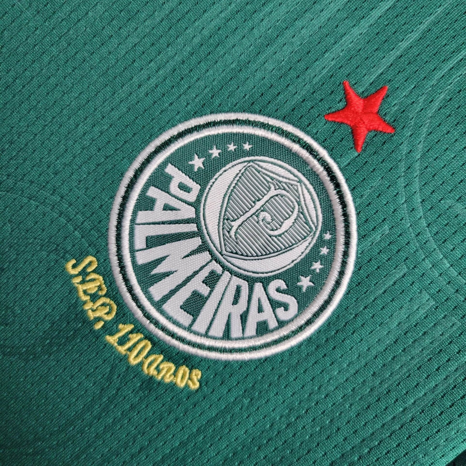 Conjunto Infantil Palmeiras Titular 24/25