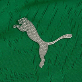 Camisa Palmeiras Treino 25/26 - Torcedor Masculina - Verde