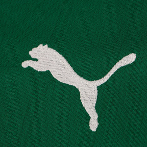 Camisa Palmeiras I 25/26 - Torcedor Masculina - Verde e Branco